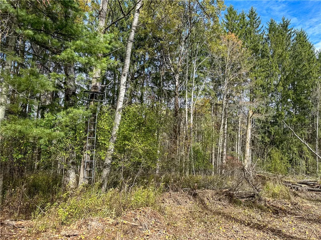 Vl Trapping Brook Road, Wellsville, New York 14895, Wellsville, New York 14895, 2 Bedrooms Bedrooms, ,Land,For Sale,Vl Trapping Brook Road, Wellsville, New York 14895,0,R1650030