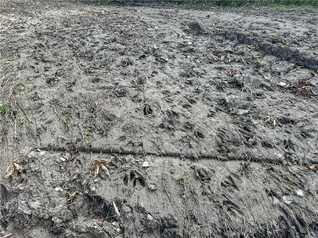 Vl Trapping Brook Road, Wellsville, New York 14895, Wellsville, New York 14895, 2 Bedrooms Bedrooms, ,Land,For Sale,Vl Trapping Brook Road, Wellsville, New York 14895,0,R1650030