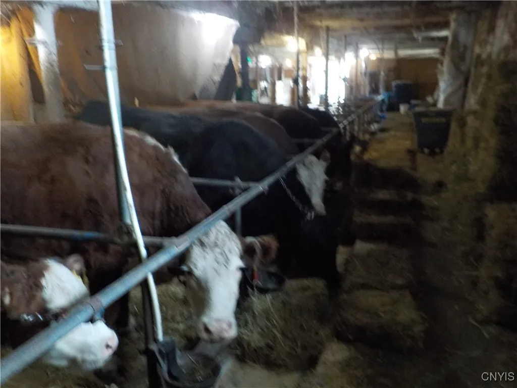 10846 Baker Road, Cato, New York 13033, Cato, New York 13033, 4 Bedrooms Bedrooms, 9 Rooms Rooms,2 BathroomsBathrooms,Residential,For Sale,10846 Baker Road, Cato, New York 13033,0,S1650049