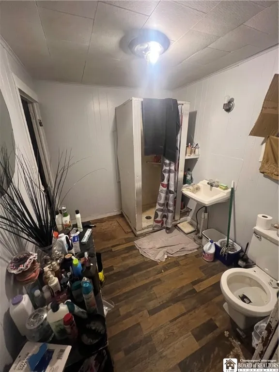 Basement Bathroom