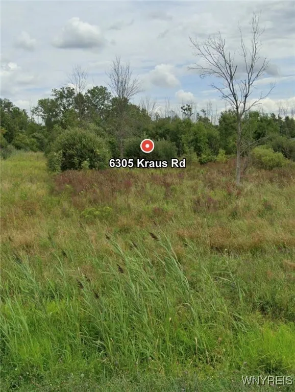 6305 Kraus Road, Clarence, New York 14032, Clarence, New York 14032, ,Land,For Sale,6305 Kraus Road, Clarence, New York 14032,0,B1650119 6305 Kraus Road, Clarence, New York 14032, Clarence, New York 14032, ,Land,For Sale,6305 Kraus Road, Clarence, New York 14032,0,B1650119