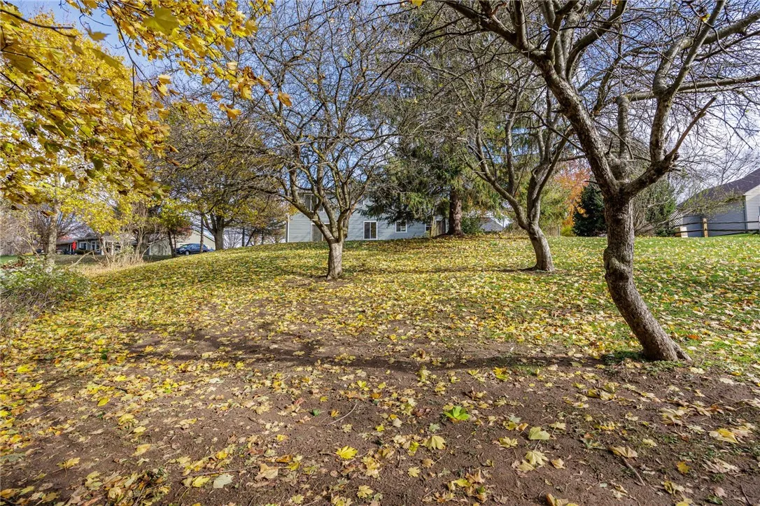 351 Monroe Wayne County Line Road, Perinton, New Y, Perinton, New York 14502, 4 Bedrooms Bedrooms, 8 Rooms Rooms,2 BathroomsBathrooms,Residential,For Sale,351 Monroe Wayne County Line Road, Perinton, New Y,0,R1650147