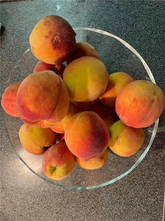 55 Wincanton Drive, Perinton, New York 14450, Perinton, New York 14450, 4 Bedrooms Bedrooms, 9 Rooms Rooms,2 BathroomsBathrooms,Residential,For Sale,55 Wincanton Drive, Perinton, New York 14450,0,R1650043