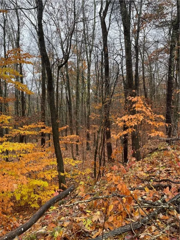 16 Silver Mine Road, Blenheim, New York 12093, Blenheim, New York 12093, ,Land,For Sale,16 Silver Mine Road, Blenheim, New York 12093,0,R1649775