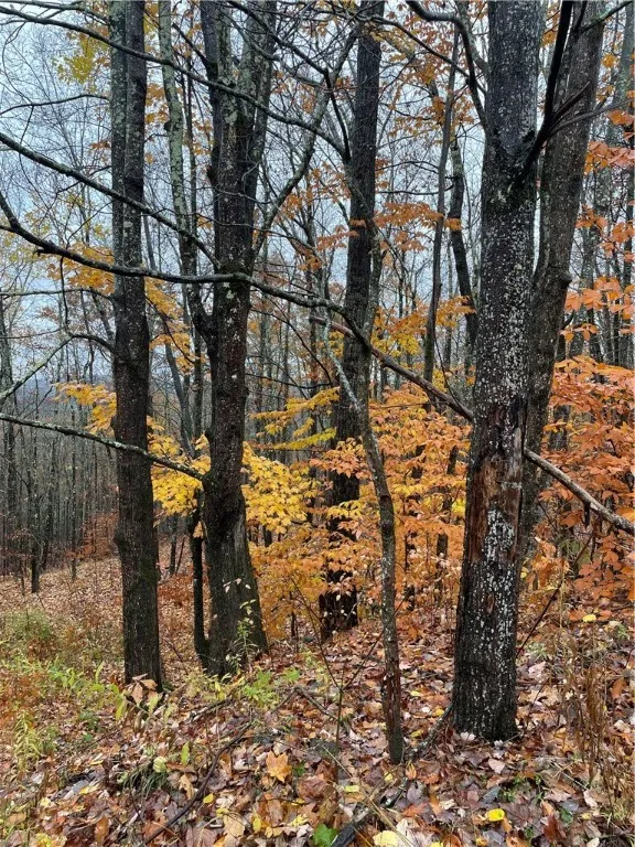 16 Silver Mine Road, Blenheim, New York 12093, Blenheim, New York 12093, ,Land,For Sale,16 Silver Mine Road, Blenheim, New York 12093,0,R1649775