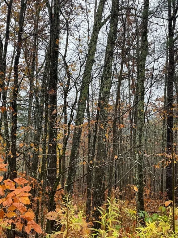 16 Silver Mine Road, Blenheim, New York 12093, Blenheim, New York 12093, ,Land,For Sale,16 Silver Mine Road, Blenheim, New York 12093,0,R1649775