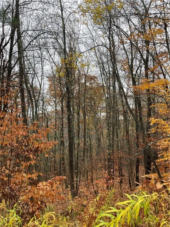 16 Silver Mine Road, Blenheim, New York 12093, Blenheim, New York 12093, ,Land,For Sale,16 Silver Mine Road, Blenheim, New York 12093,0,R1649775