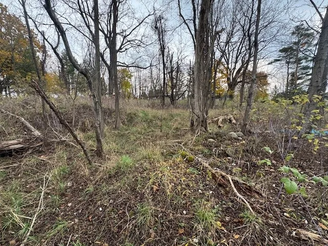 3784 Rush Mendon Road, Mendon, New York 14506, Mendon, New York 14506, 2 Bedrooms Bedrooms, ,1 BathroomBathrooms,Land,For Sale,3784 Rush Mendon Road, Mendon, New York 14506,0,R1649734