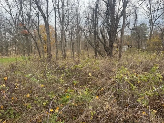 3784 Rush Mendon Road, Mendon, New York 14506, Mendon, New York 14506, 2 Bedrooms Bedrooms, ,1 BathroomBathrooms,Land,For Sale,3784 Rush Mendon Road, Mendon, New York 14506,0,R1649734