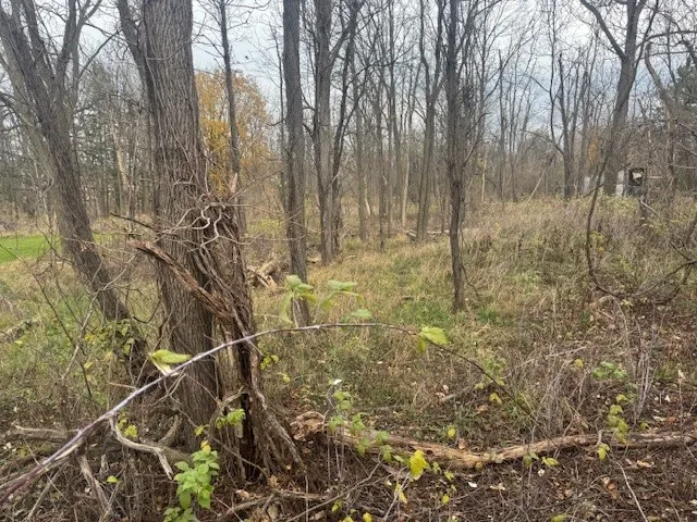 3784 Rush Mendon Road, Mendon, New York 14506, Mendon, New York 14506, 2 Bedrooms Bedrooms, ,1 BathroomBathrooms,Land,For Sale,3784 Rush Mendon Road, Mendon, New York 14506,0,R1649734