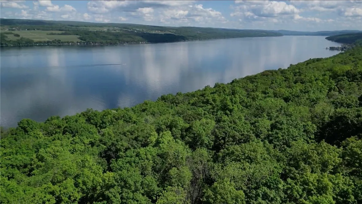 Summer View — Lush Tree Canopy Overlooking Seneca Lake.