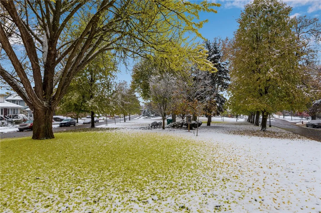 57 Larchmont Road, Buffalo, New York 14214, Buffalo, New York 14214, 4 Bedrooms Bedrooms, 8 Rooms Rooms,2 BathroomsBathrooms,Residential,For Sale,57 Larchmont Road, Buffalo, New York 14214,0,R1650353