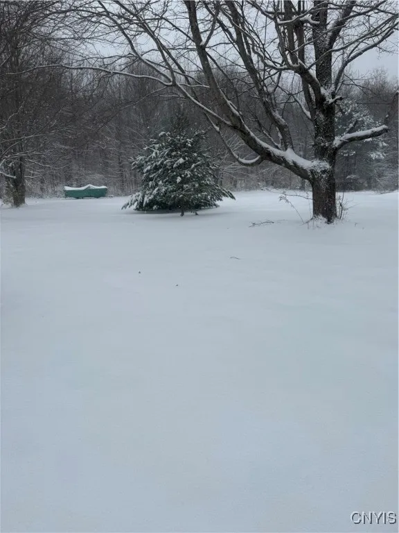 1557 County Route 7, Hannibal, New York 13126, Hannibal, New York 13126, 2 Bedrooms Bedrooms, 6 Rooms Rooms,1 BathroomBathrooms,Residential,For Sale,1557 County Route 7, Hannibal, New York 13126,0,S1650421