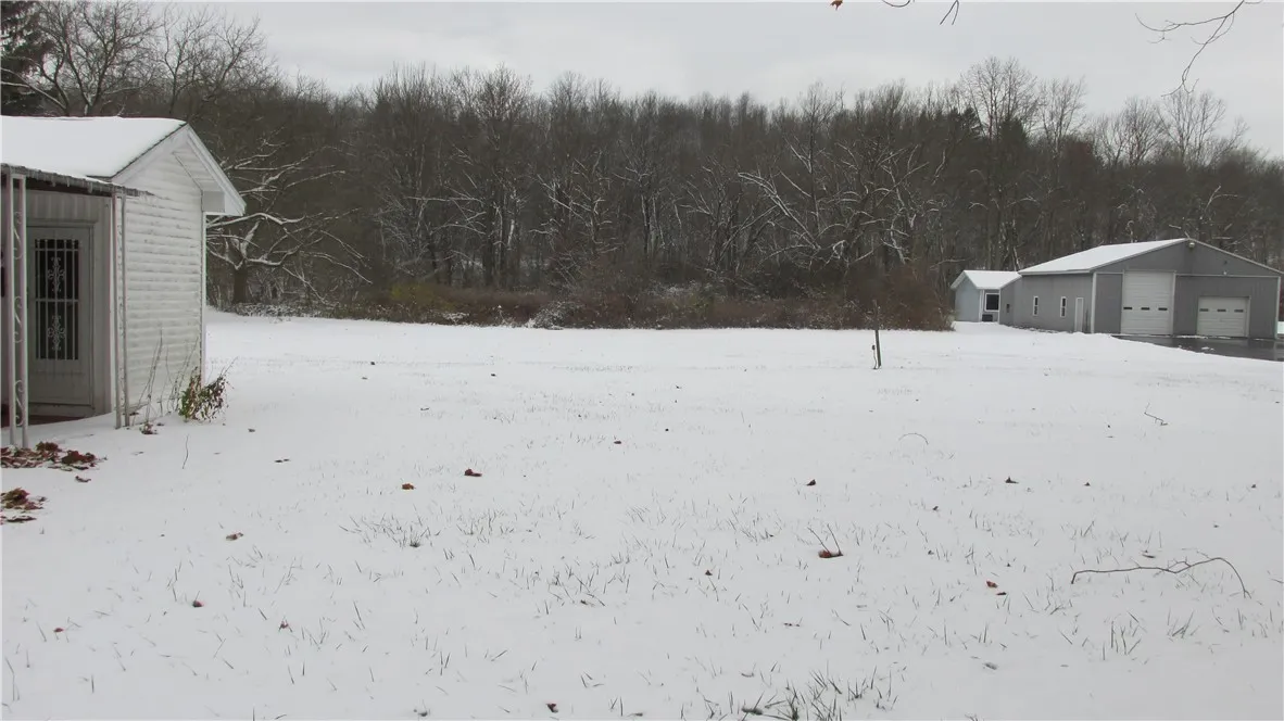 Back yard view...acreage