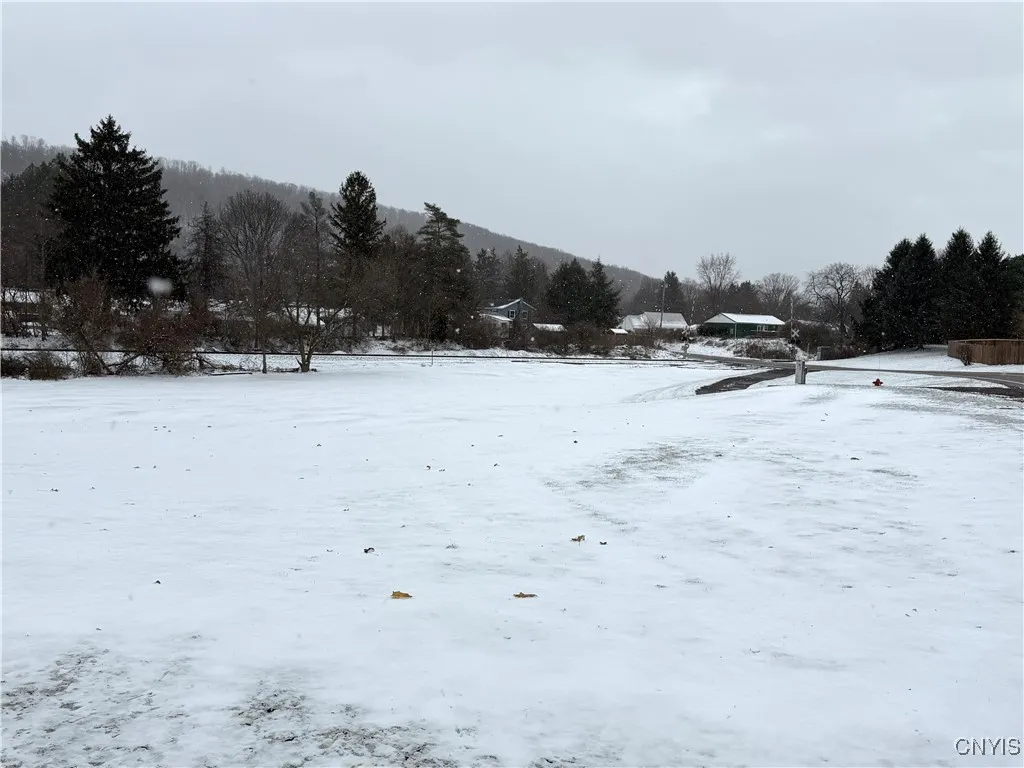 6 Hooker Avenue, Homer, New York 13077, Homer, New York 13077, 3 Bedrooms Bedrooms, 11 Rooms Rooms,2 BathroomsBathrooms,Residential,For Sale,6 Hooker Avenue, Homer, New York 13077,0,S1649956