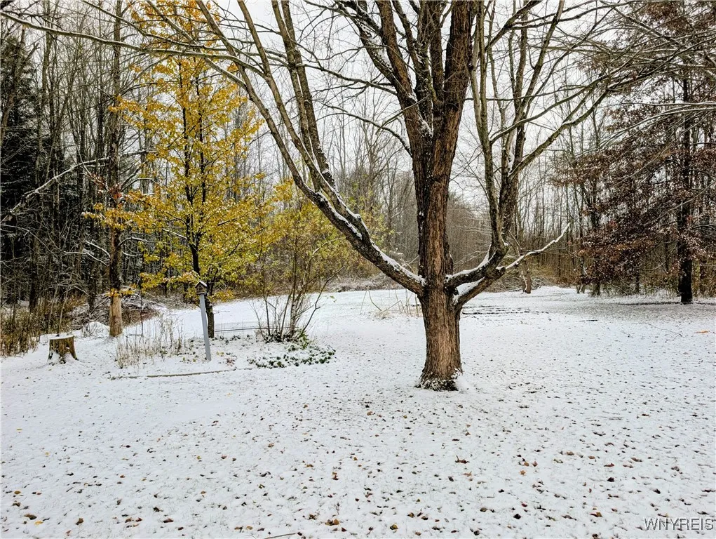 Back lot that backs up to a neighbor's property