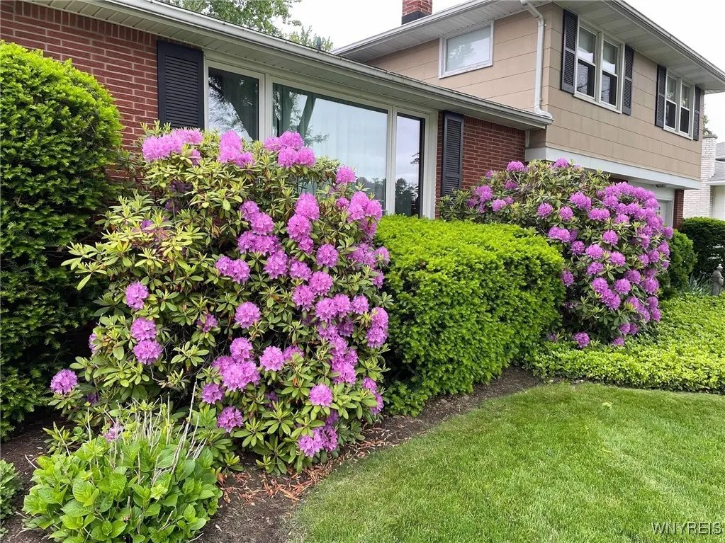 15 Culpepper Road, Amherst, New York 14221, Amherst, New York 14221, 3 Bedrooms Bedrooms, 7 Rooms Rooms,1 BathroomBathrooms,Residential,For Sale,15 Culpepper Road, Amherst, New York 14221,0,B1650306