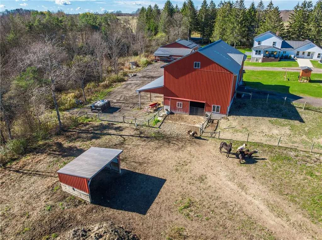 Horse pasture, lean-to, horse barn
