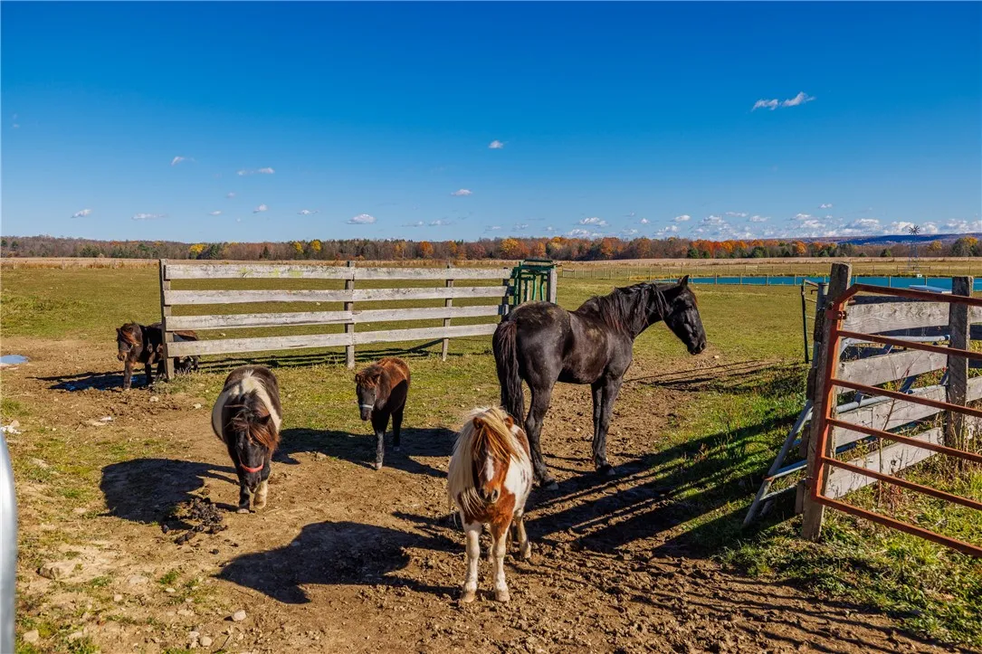 11742 Armison Road, Hume, New York 14735, Hume, New York 14735, 5 Bedrooms Bedrooms, 10 Rooms Rooms,2 BathroomsBathrooms,Residential,For Sale,11742 Armison Road, Hume, New York 14735,0,R1648021