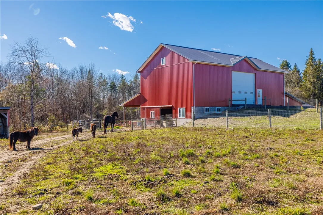 Horse barn and pastures