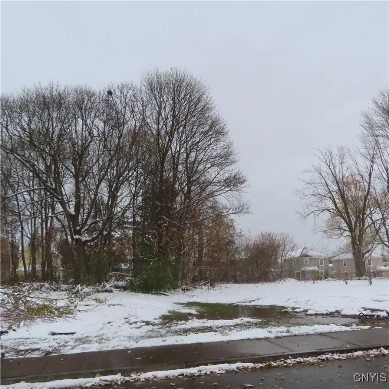 209 Lincoln Avenue, Syracuse, New York 13204, Syracuse, New York 13204, ,Land,For Sale,209 Lincoln Avenue, Syracuse, New York 13204,0,S1649714