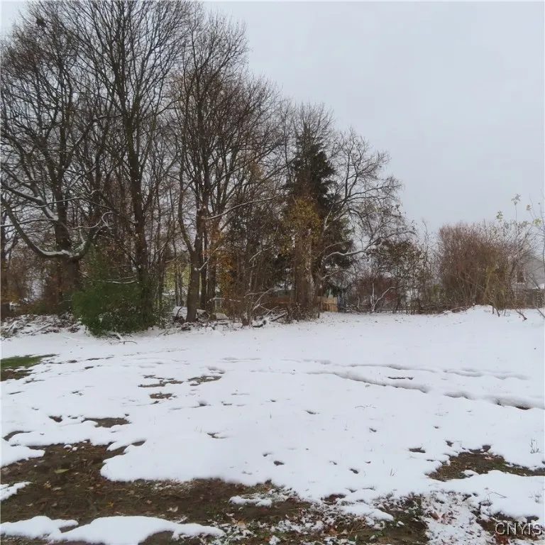 209 Lincoln Avenue, Syracuse, New York 13204, Syracuse, New York 13204, ,Land,For Sale,209 Lincoln Avenue, Syracuse, New York 13204,0,S1649714