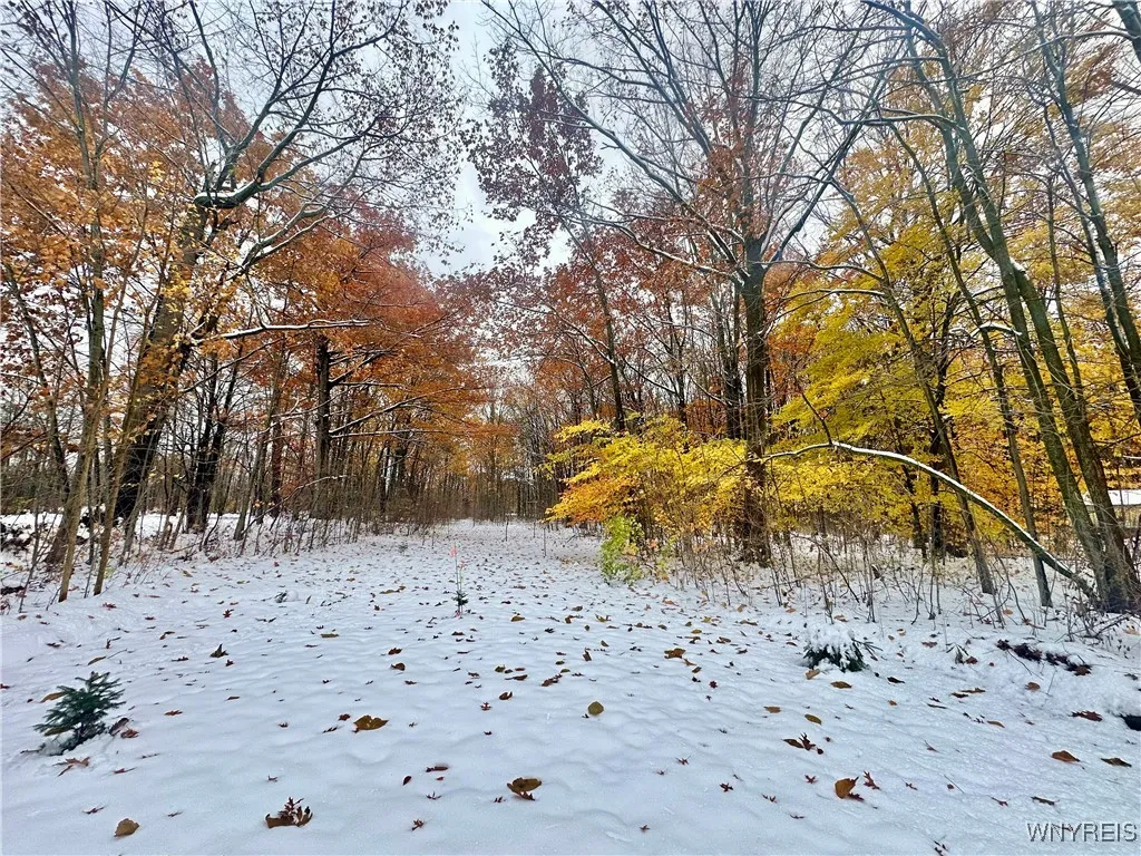 4980 Shunpike Road, Cambria, New York 14094, Cambria, New York 14094, 3 Bedrooms Bedrooms, 5 Rooms Rooms,2 BathroomsBathrooms,Residential,For Sale,4980 Shunpike Road, Cambria, New York 14094,0,B1650503