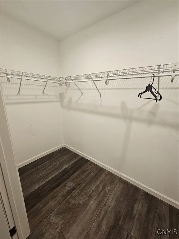 Large Primary bedroom closet