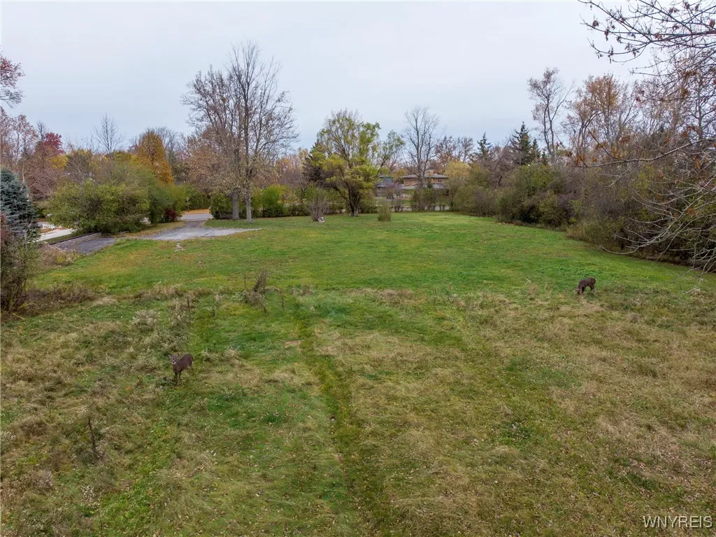 317 Lebrun Road, Amherst, New York 14226, Amherst, New York 14226, ,Land,For Sale,317 Lebrun Road, Amherst, New York 14226,0,B1650528