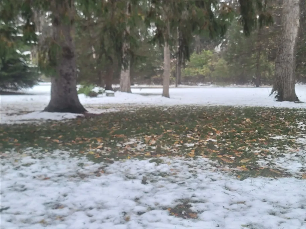 0 Country Woods Lane, Greece, New York 14626, Greece, New York 14626, ,Land,For Sale,0 Country Woods Lane, Greece, New York 14626,0,R1650607