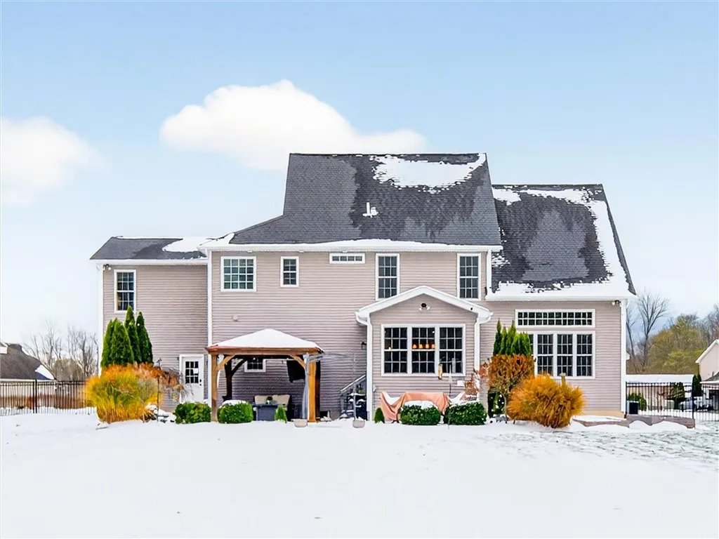 View from the back of the yard