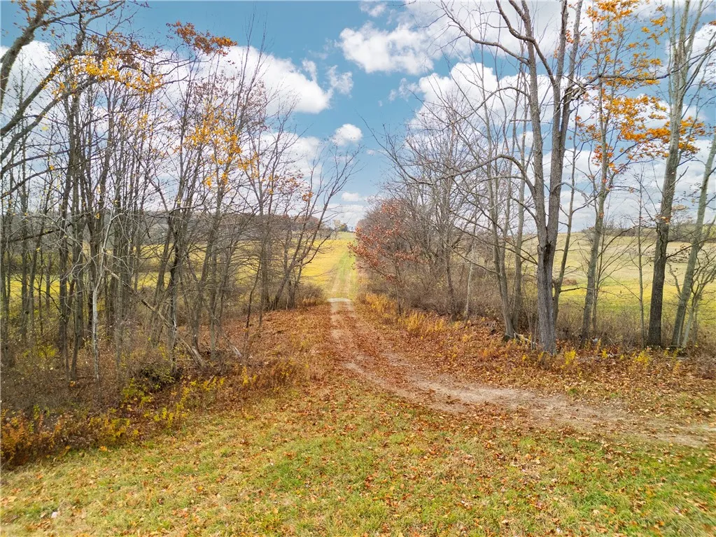 3444 County Route 2, Rathbone, New York 14801, Rathbone, New York 14801, ,Land,For Sale,3444 County Route 2, Rathbone, New York 14801,0,R1650576