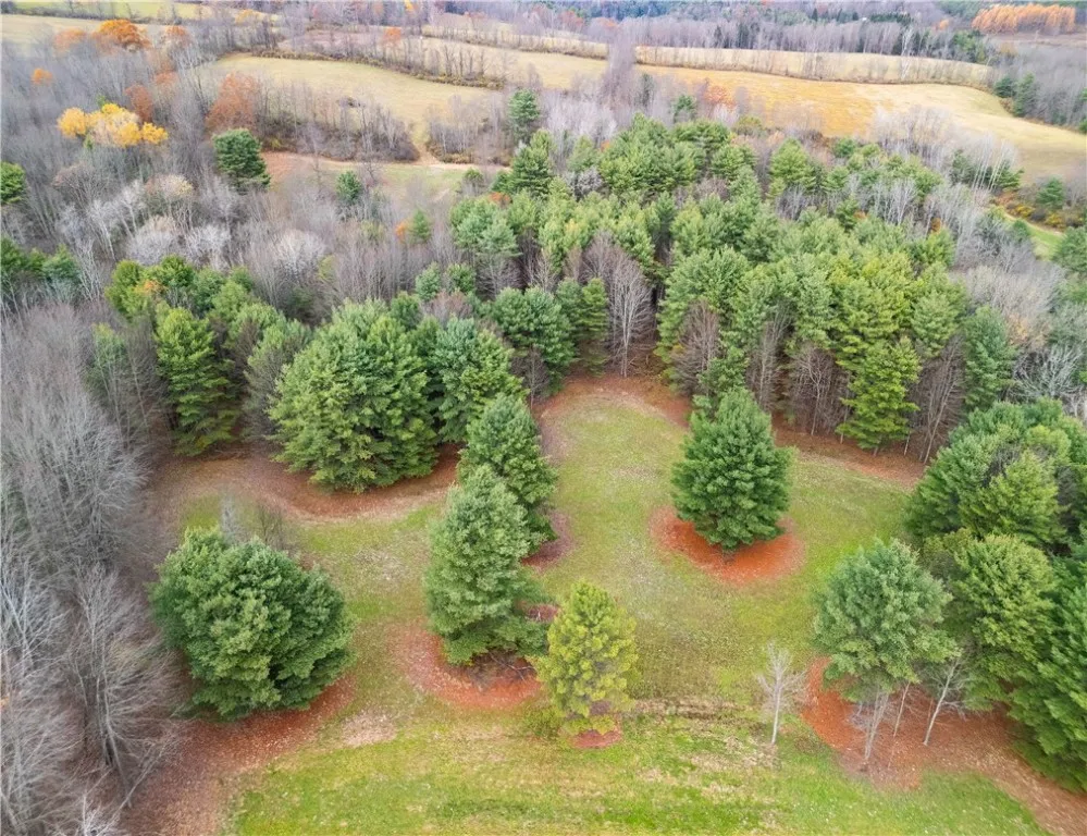 3444 County Route 2, Rathbone, New York 14801, Rathbone, New York 14801, ,Land,For Sale,3444 County Route 2, Rathbone, New York 14801,0,R1650576
