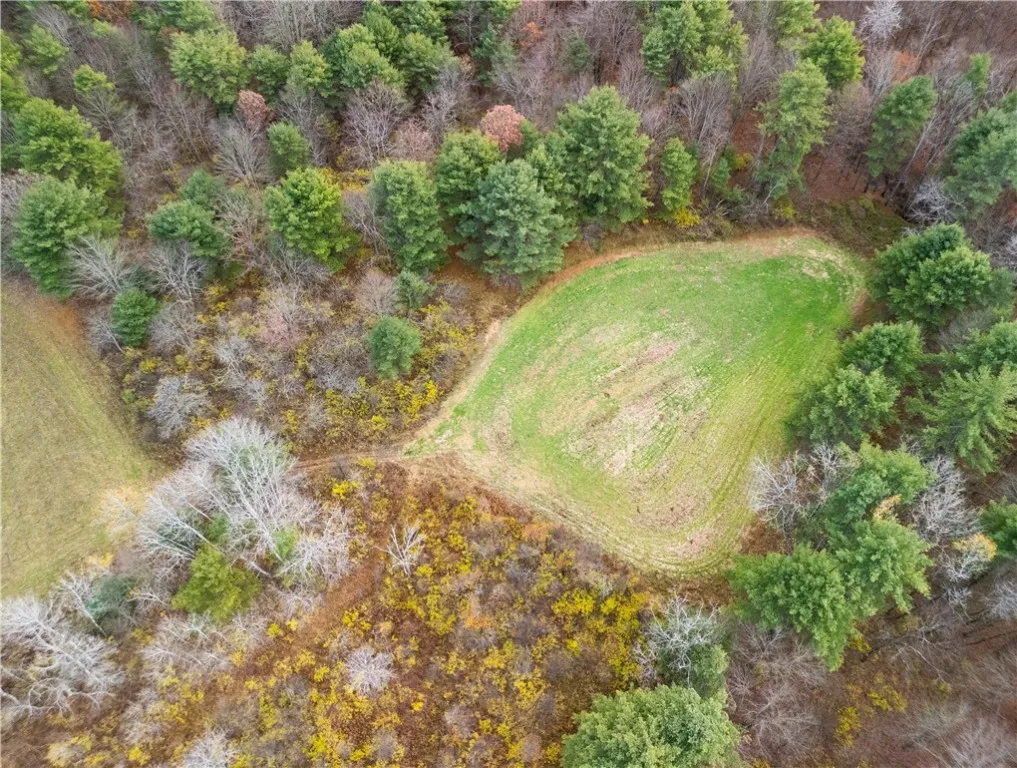 3444 County Route 2, Rathbone, New York 14801, Rathbone, New York 14801, ,Land,For Sale,3444 County Route 2, Rathbone, New York 14801,0,R1650576