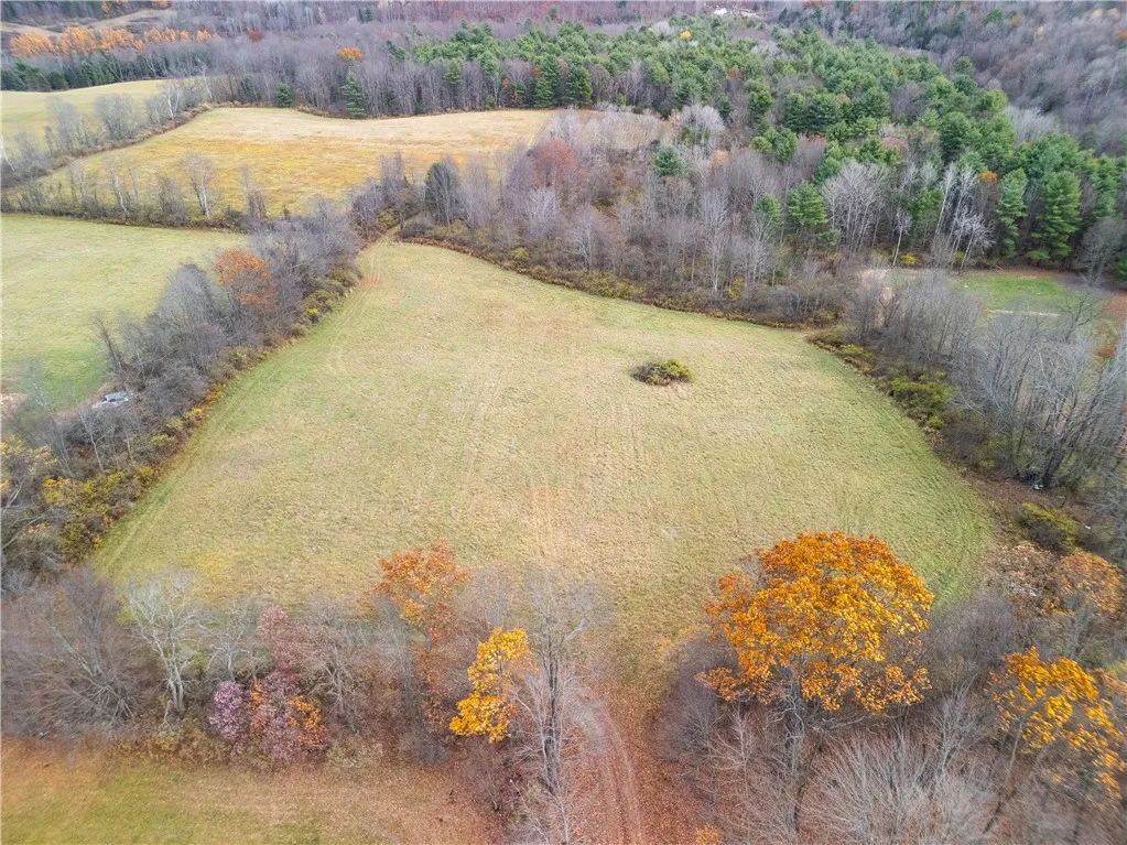 3444 County Route 2, Rathbone, New York 14801, Rathbone, New York 14801, ,Land,For Sale,3444 County Route 2, Rathbone, New York 14801,0,R1650576