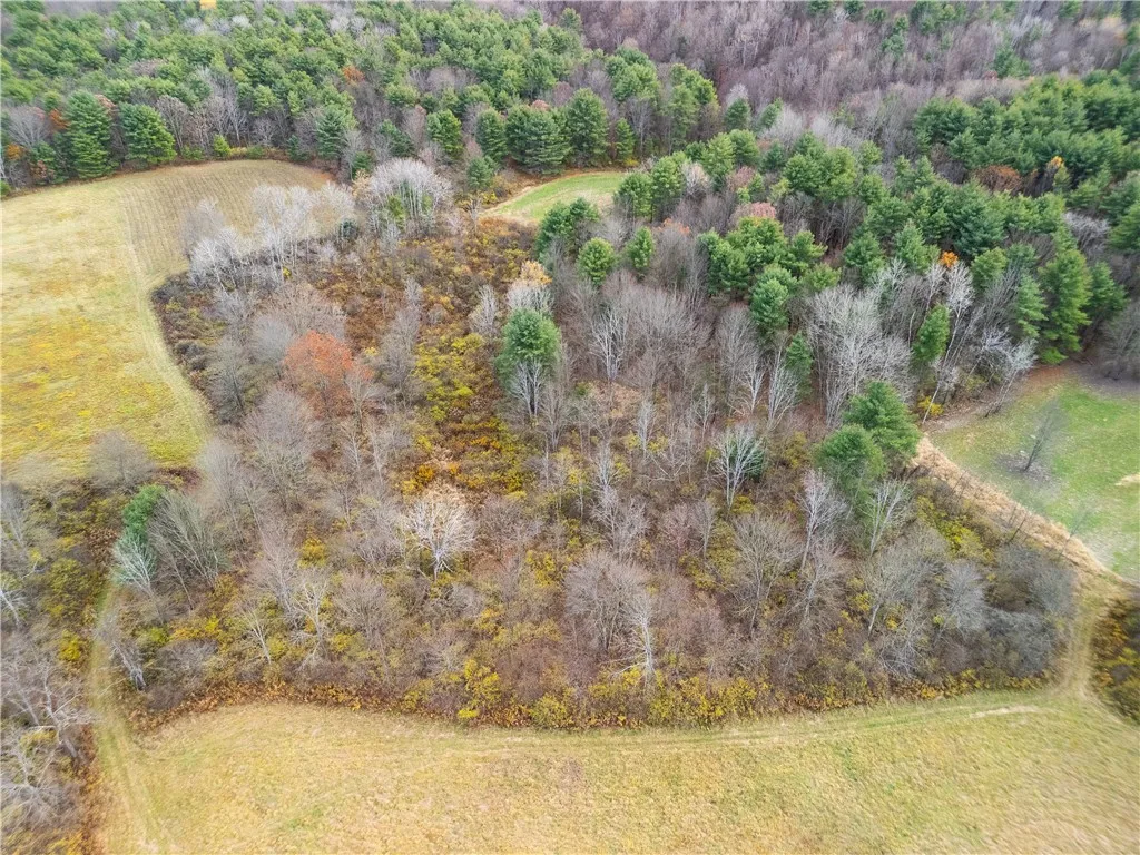 3444 County Route 2, Rathbone, New York 14801, Rathbone, New York 14801, ,Land,For Sale,3444 County Route 2, Rathbone, New York 14801,0,R1650576