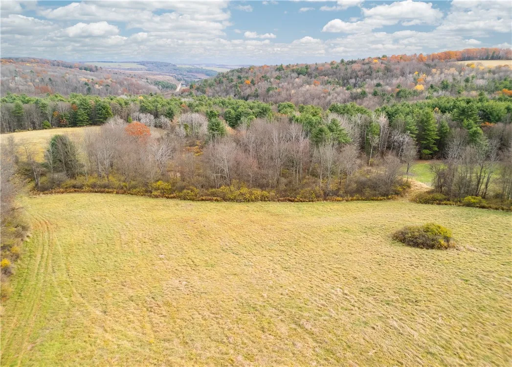 3444 County Route 2, Rathbone, New York 14801, Rathbone, New York 14801, ,Land,For Sale,3444 County Route 2, Rathbone, New York 14801,0,R1650576