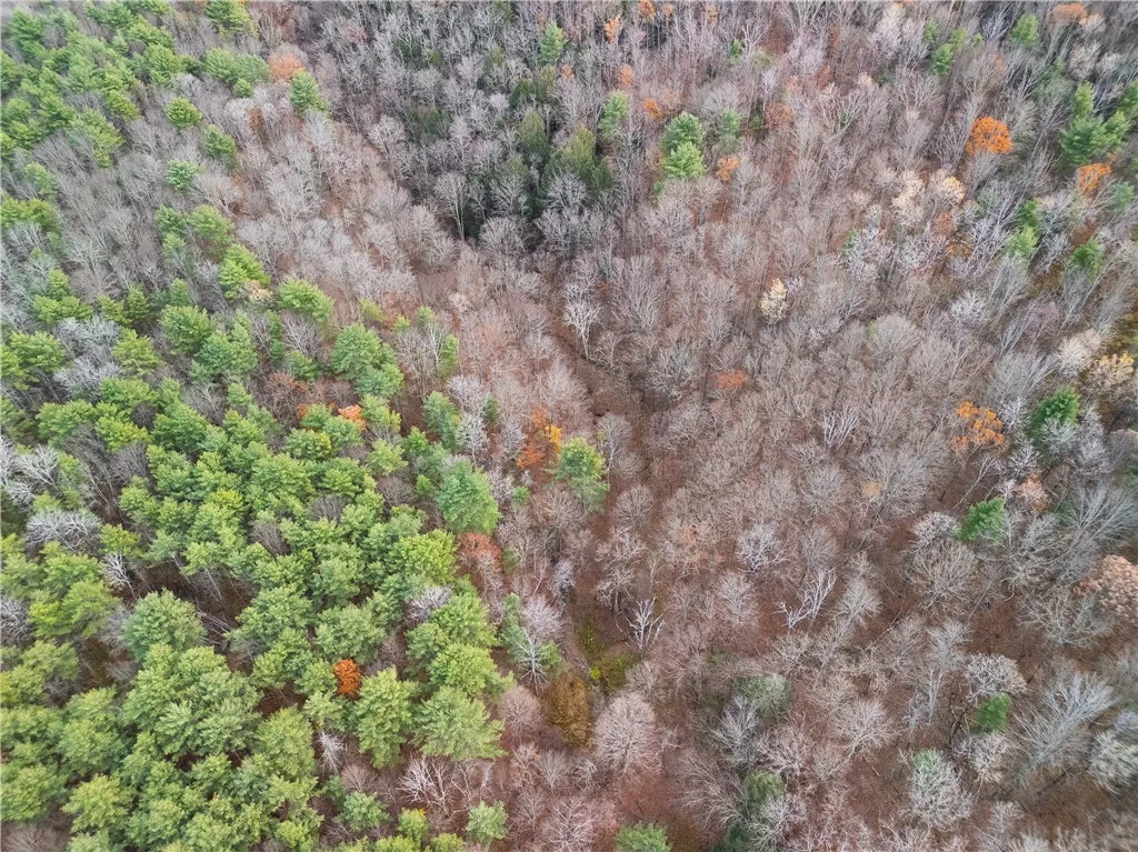 3444 County Route 2, Rathbone, New York 14801, Rathbone, New York 14801, ,Land,For Sale,3444 County Route 2, Rathbone, New York 14801,0,R1650576