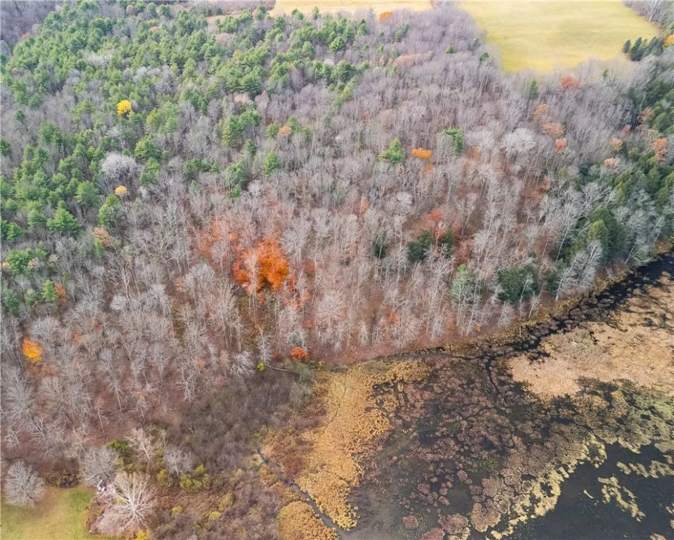 3444 County Route 2, Rathbone, New York 14801, Rathbone, New York 14801, ,Land,For Sale,3444 County Route 2, Rathbone, New York 14801,0,R1650576