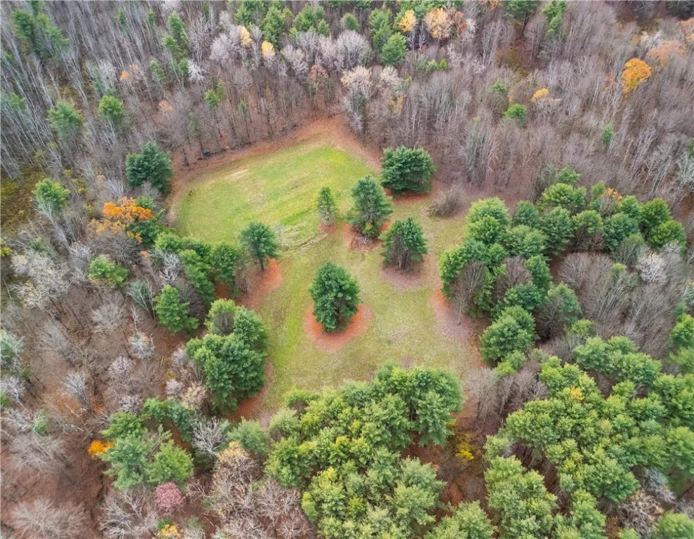 3444 County Route 2, Rathbone, New York 14801, Rathbone, New York 14801, ,Land,For Sale,3444 County Route 2, Rathbone, New York 14801,0,R1650576