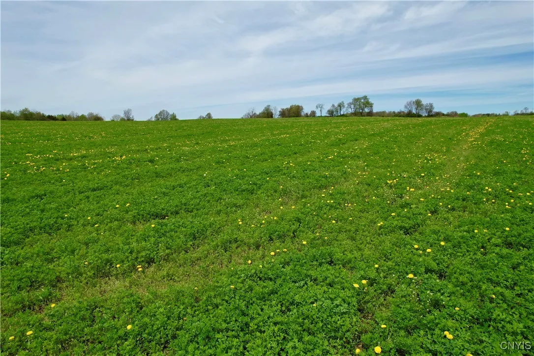 00 Ballina Road, Cazenovia, New York 13035, Cazenovia, New York 13035, ,Land,For Sale,00 Ballina Road, Cazenovia, New York 13035,0,S1650667