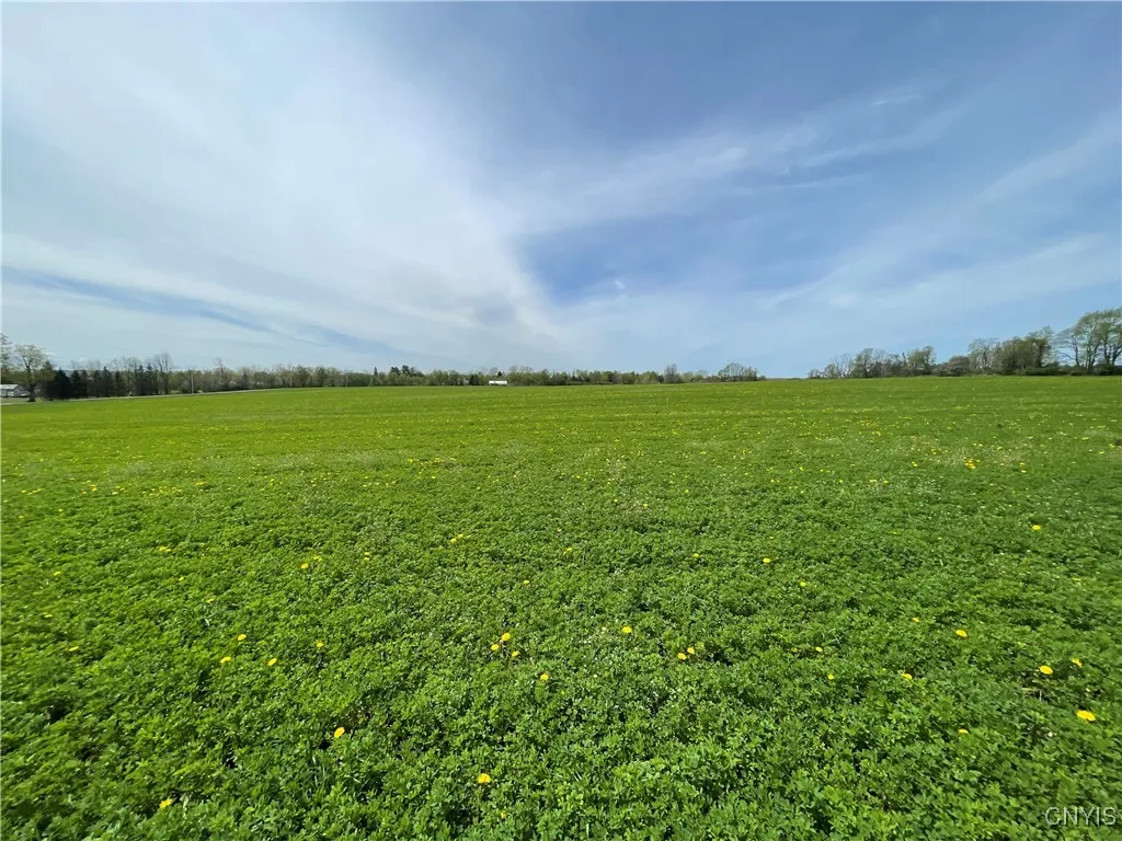 00 Ballina Road, Cazenovia, New York 13035, Cazenovia, New York 13035, ,Land,For Sale,00 Ballina Road, Cazenovia, New York 13035,0,S1650667
