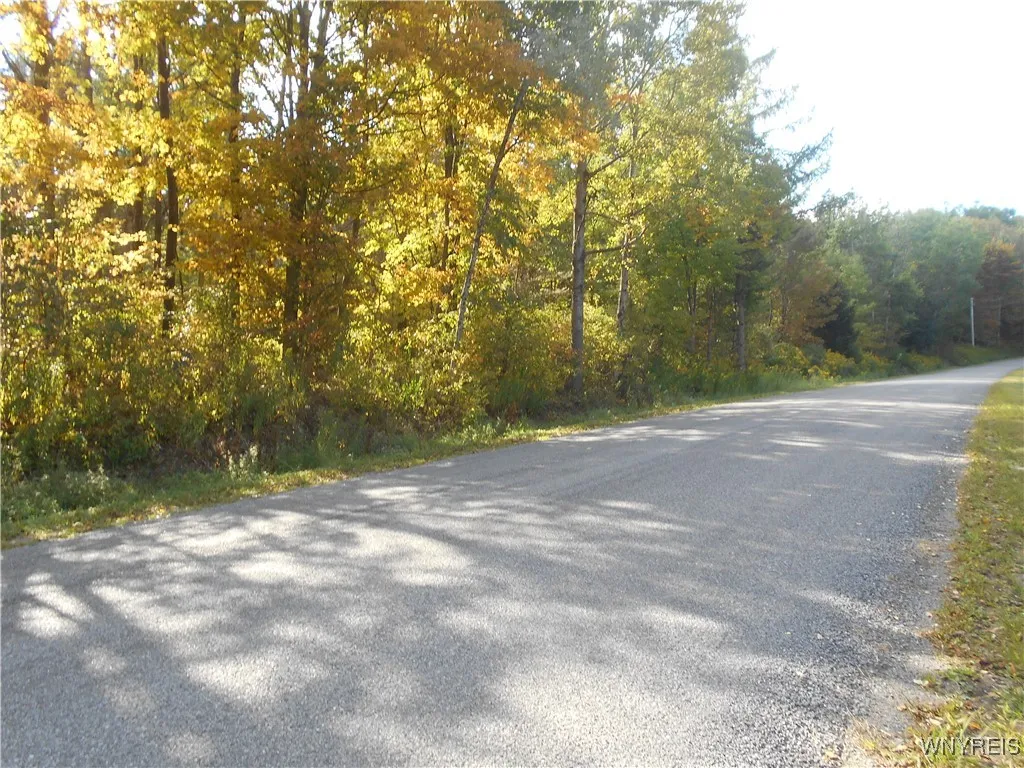 Irish Hill Road, Ellicottville, New York 14731, Ellicottville, New York 14731, ,Land,For Sale,Irish Hill Road, Ellicottville, New York 14731,0,B1646644
