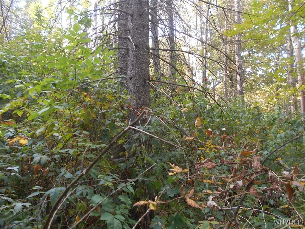Irish Hill Road, Ellicottville, New York 14731, Ellicottville, New York 14731, ,Land,For Sale,Irish Hill Road, Ellicottville, New York 14731,0,B1646644