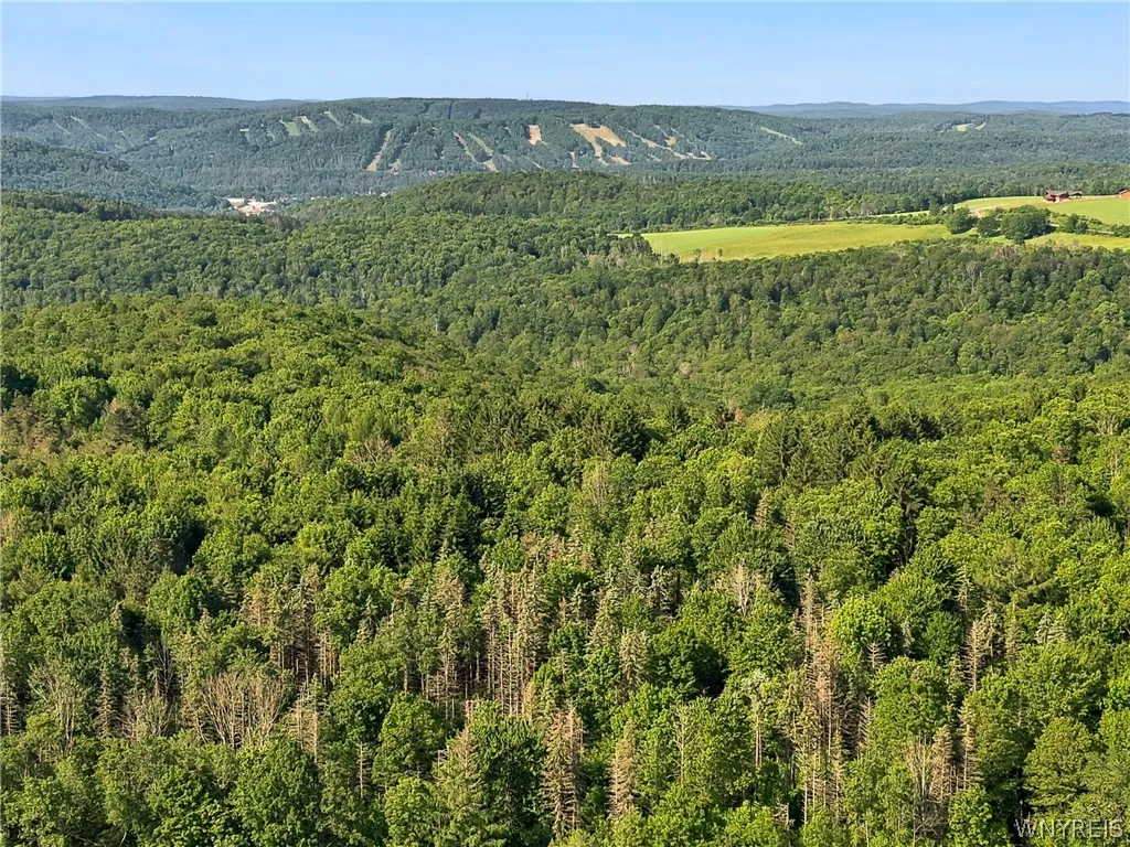 Irish Hill Road, Ellicottville, New York 14731, Ellicottville, New York 14731, ,Land,For Sale,Irish Hill Road, Ellicottville, New York 14731,0,B1646644