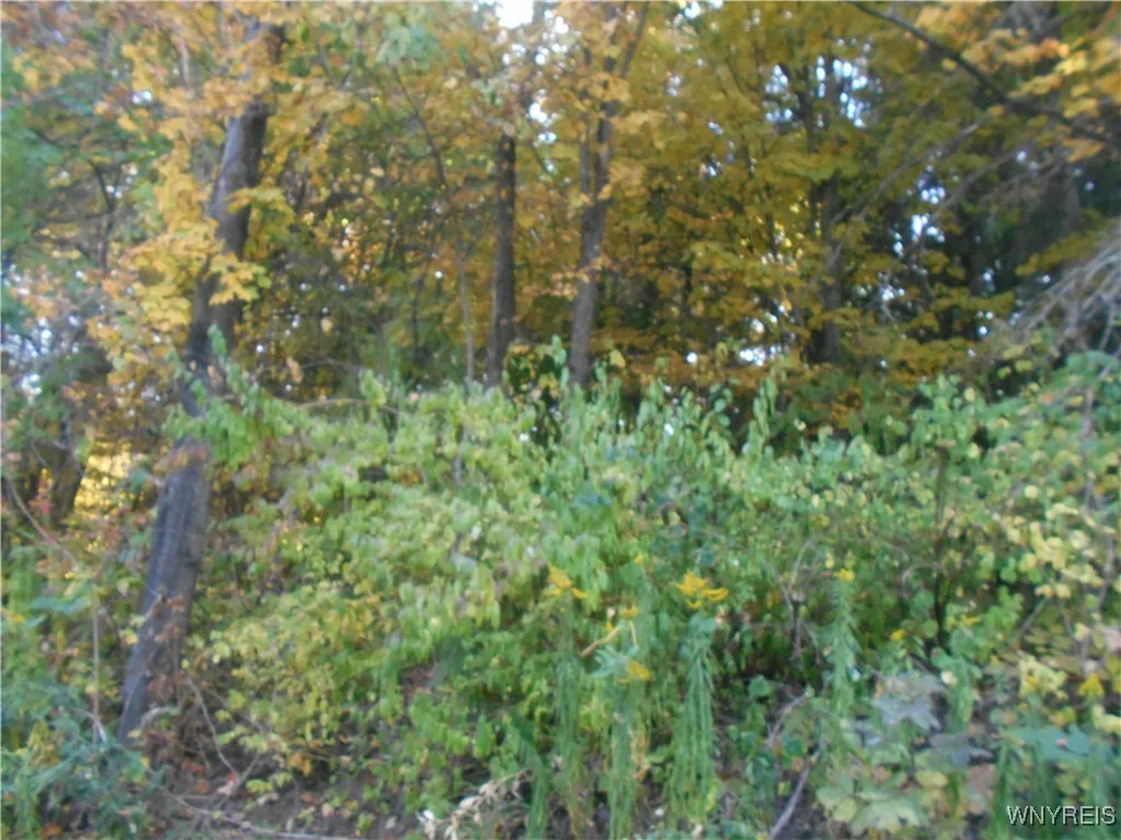 Irish Hill Road, Ellicottville, New York 14731, Ellicottville, New York 14731, ,Land,For Sale,Irish Hill Road, Ellicottville, New York 14731,0,B1646644