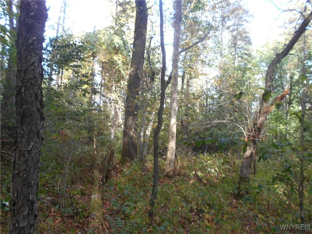 Irish Hill Road, Ellicottville, New York 14731, Ellicottville, New York 14731, ,Land,For Sale,Irish Hill Road, Ellicottville, New York 14731,0,B1646644