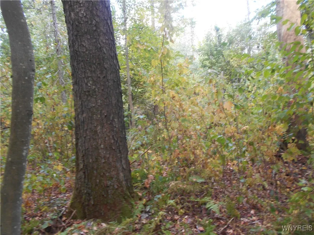 Irish Hill Road, Ellicottville, New York 14731, Ellicottville, New York 14731, ,Land,For Sale,Irish Hill Road, Ellicottville, New York 14731,0,B1646644