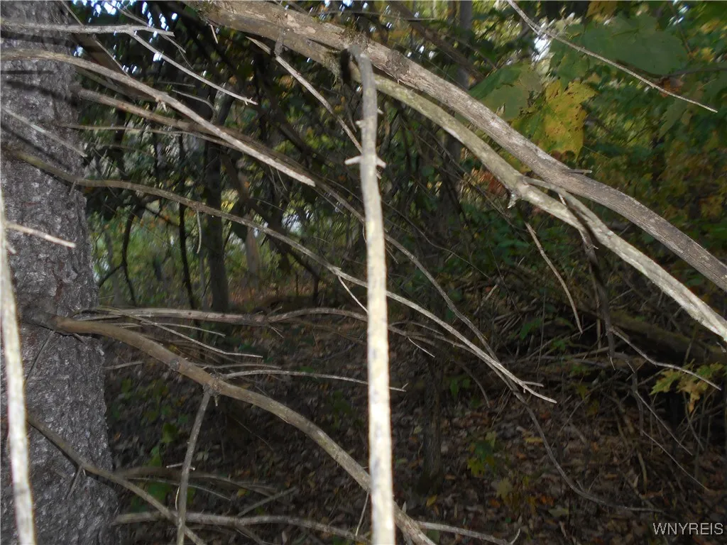 Irish Hill Road, Ellicottville, New York 14731, Ellicottville, New York 14731, ,Land,For Sale,Irish Hill Road, Ellicottville, New York 14731,0,B1646644