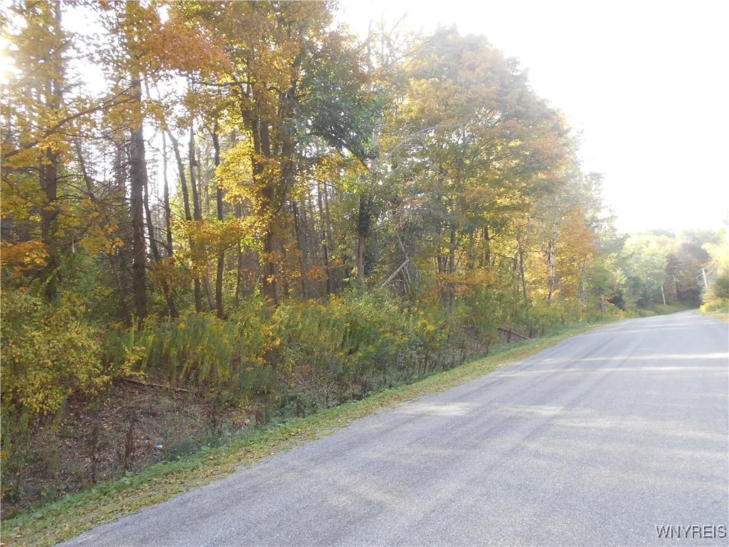 Irish Hill Road, Ellicottville, New York 14731, Ellicottville, New York 14731, ,Land,For Sale,Irish Hill Road, Ellicottville, New York 14731,0,B1646644